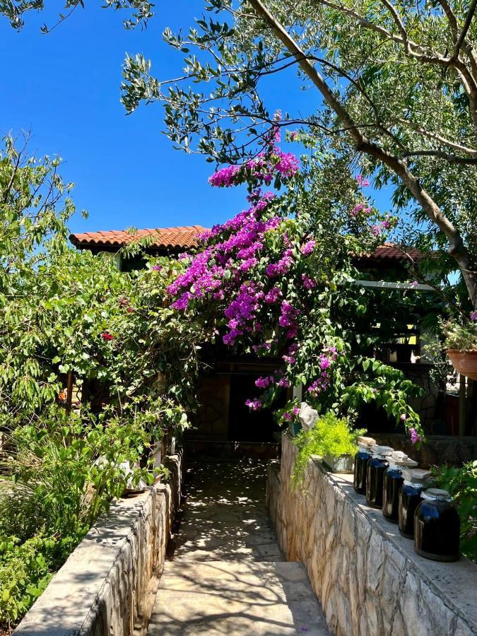 Apartment With Swimming Pool Jelsa  Esterno foto